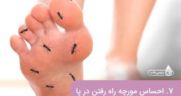 عکس قلب مورچه