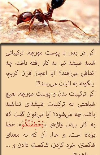 عکس قلب مورچه