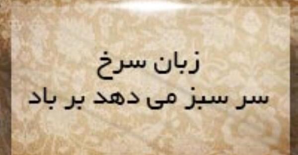 عکس ضرب المثل زبان سرخ سرسبز میدهد برباد