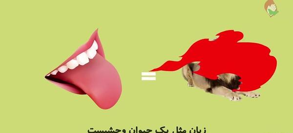 عکس ضرب المثل زبان سرخ سرسبز میدهد برباد
