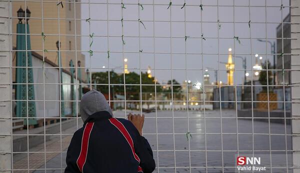 عکس حرم امام رضا و دلتنگی