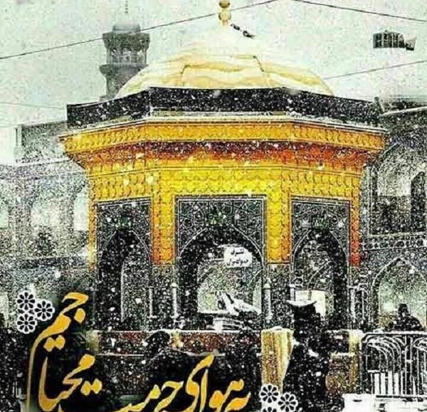 عکس حرم امام رضا و دلتنگی