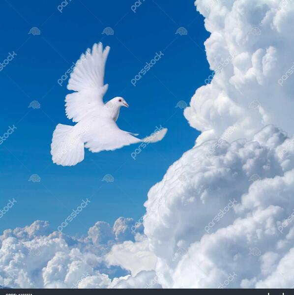 عکس زیبای اسمان