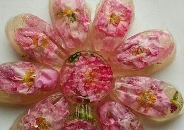 عکس ژله گل محمدی