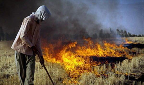 عکس آتش طبیعی