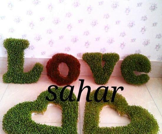 عکس سبزه عید عروس