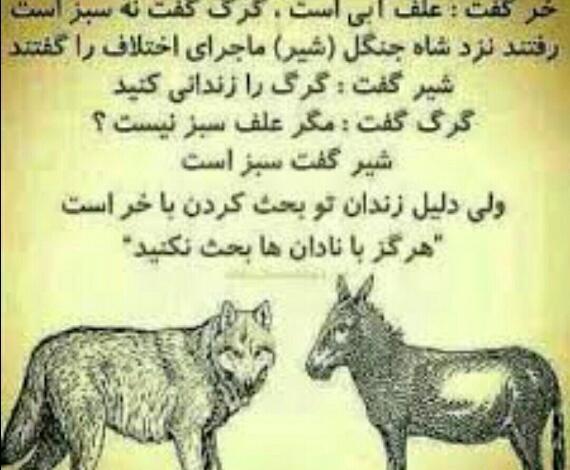عکس شیر گرگ