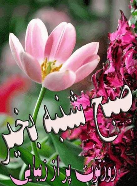 عکس صبح بخیر شنبه جدید