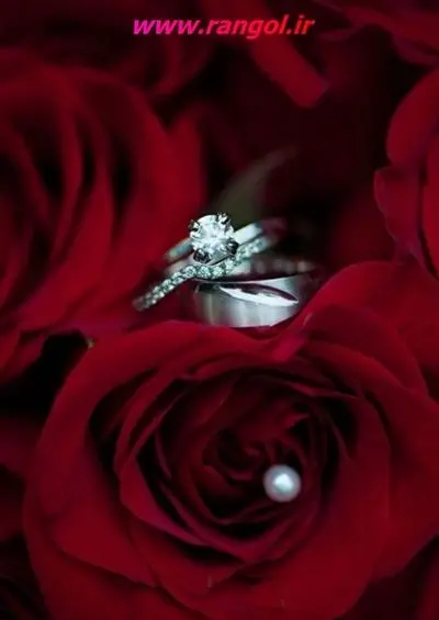 عکس حلقه عقد عروس و داماد