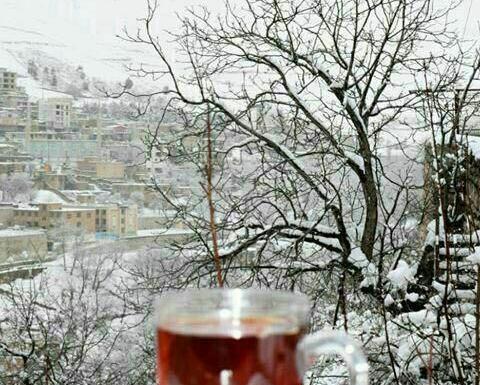 عکس چای در برف