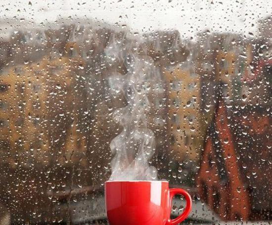 عکس چای در برف