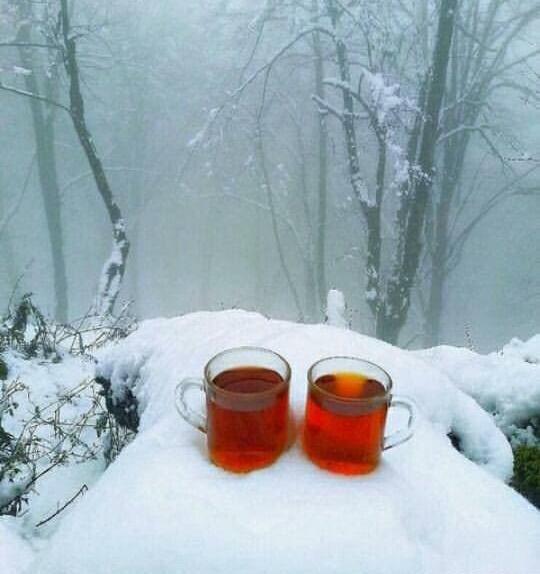 عکس چای در برف
