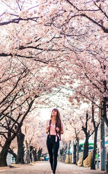 عکس بهاری برای پروفایل واتساپ