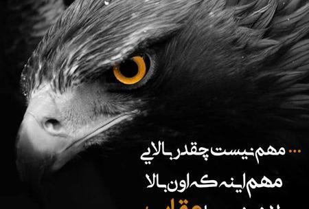عکس نوشته تیکه دار زهر آلود
