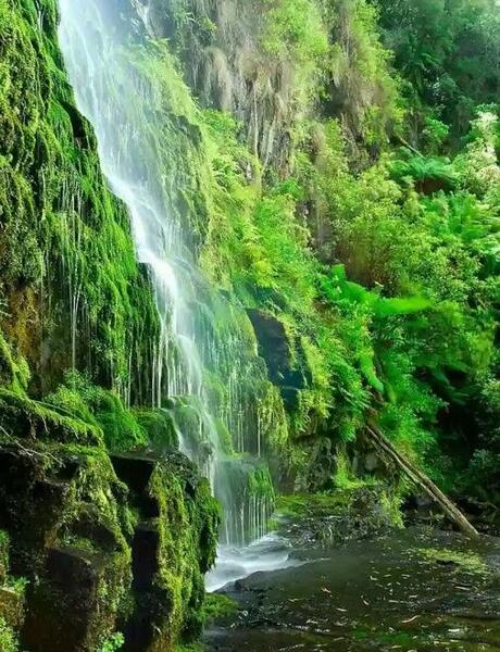 عکسهای زیبای طبیعت فول اچ دی