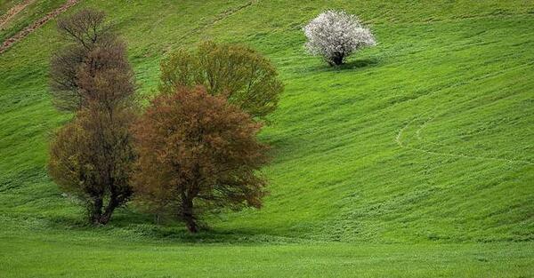 عکسهای زیبا از طبیعت مازندران
