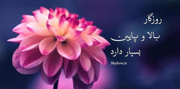 عکس زیبای ذهن