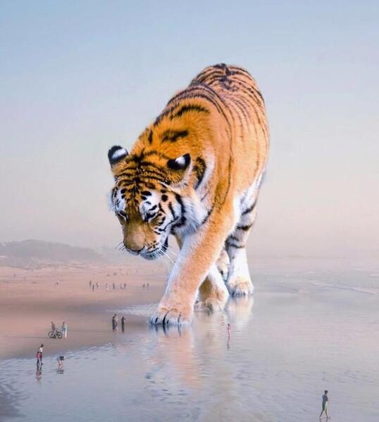عکس حیوانات غول پیکر
