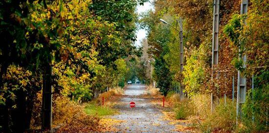 عکس زیبای طبیعت بارانی
