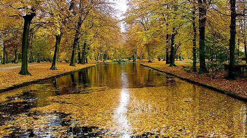 عکس زیبای طبیعت بارانی