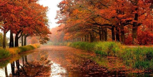 عکس زیبای طبیعت بارانی