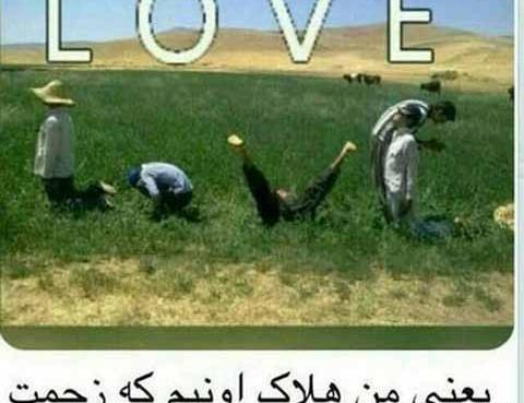 عکس خنده دار آخر سال
