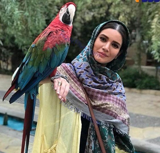 عکس طوطی جدید