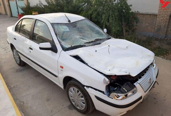 عکس سمند سفید