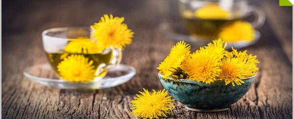 عکس چای قاصدک