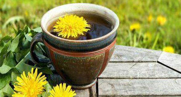 عکس چای قاصدک