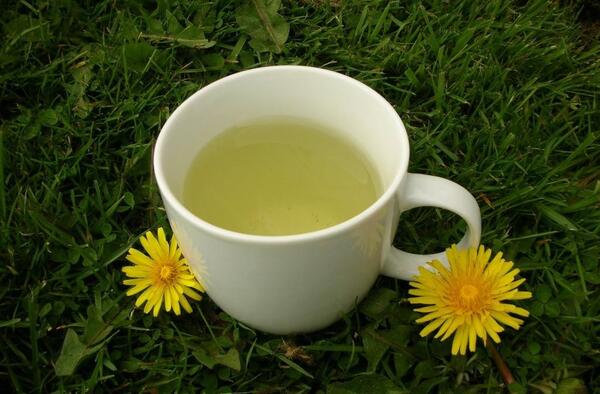 عکس چای قاصدک