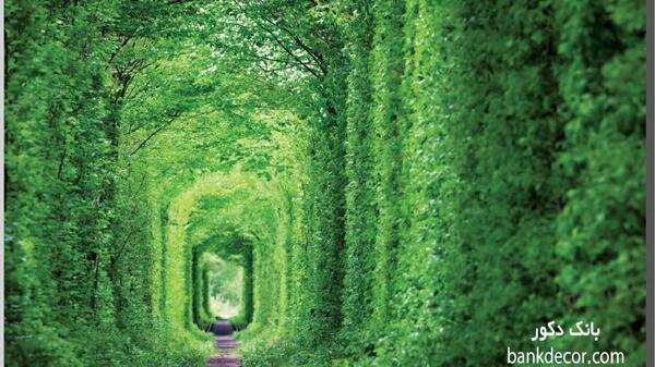 عکس سه بعدی از طبیعت
