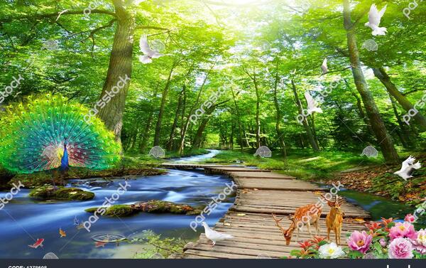 عکس سه بعدی از طبیعت