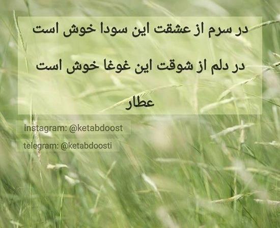 عکس رمانتیک همراه با شعر