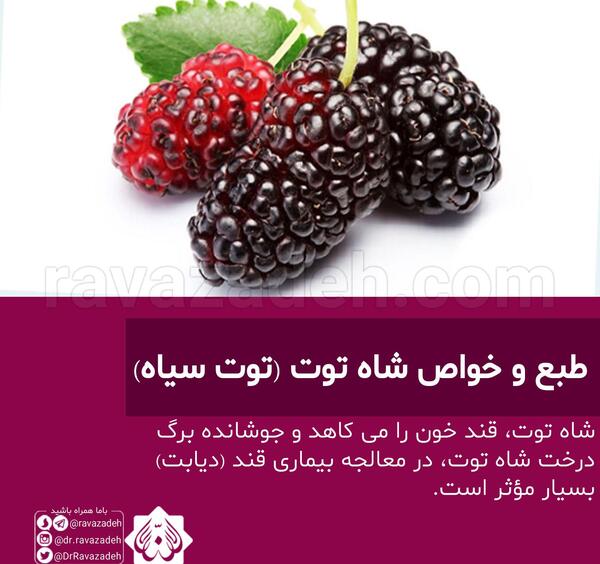 عکس شاه توت سیاه