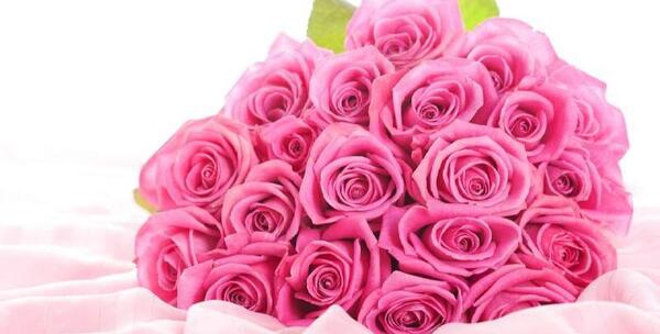 عکس زیبا برای پروفایل عکس گل