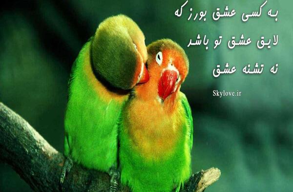 عکس زیبا عشق