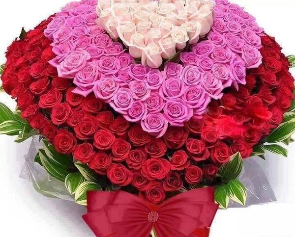 عکس یه دسته گل زیبا