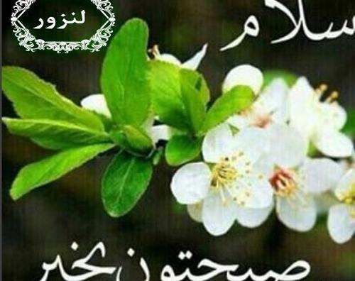 عکس تصاویر صبح بخیر سه شنبه