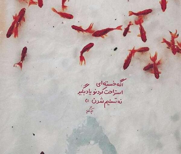 عکس جالب نوشته