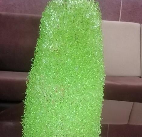 عکس سبزه عید با کوزه