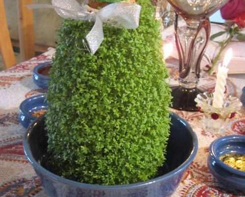 عکس سبزه عید با کوزه