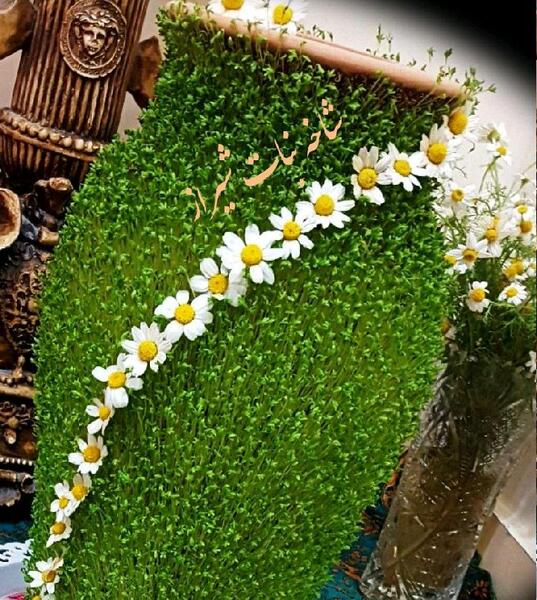 عکس سبزه عید با کوزه