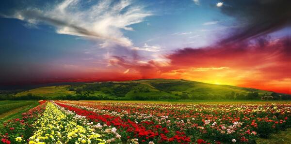 عکس تصاویر زیبای طبیعت فول اچ دی