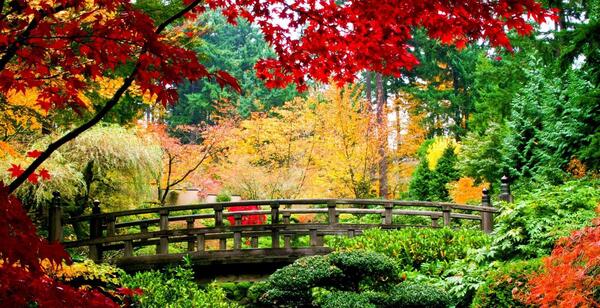 عکس تصاویر زیبای طبیعت فول اچ دی