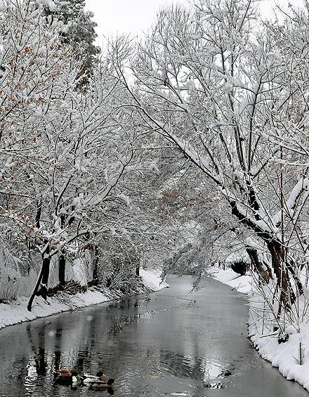 عکس زیبای طبیعت زمستان