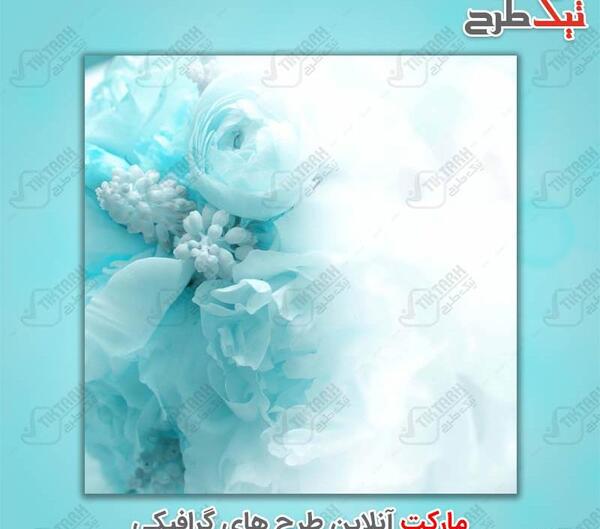 عکس سفید گرافیکی