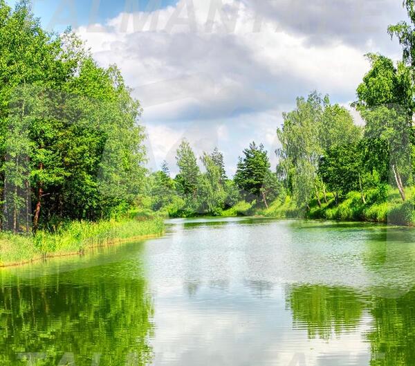 عکس طبیعت روشن
