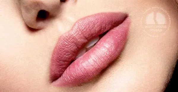 عکس شتر رژ لب زده