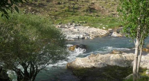 عکس بهار گلپایگان